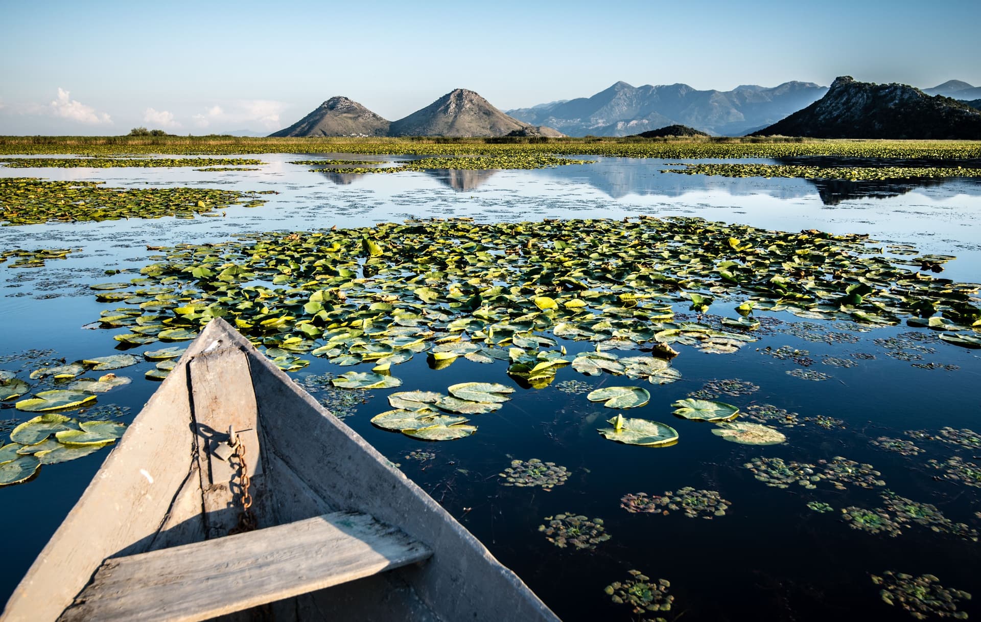 Lake Skadar (Skadarsko jezero)