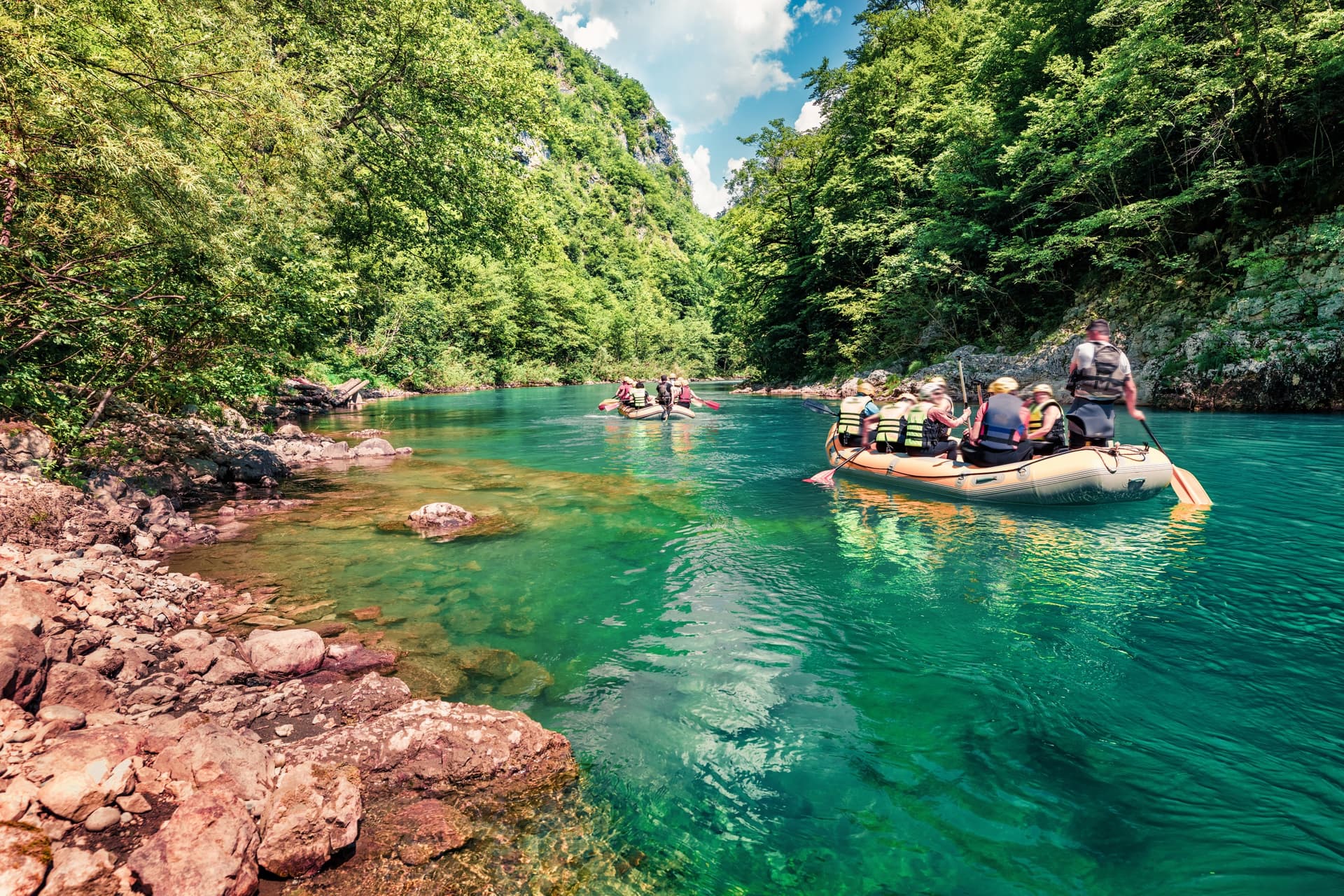 montenegro entete
